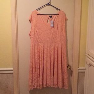 Plus size Torrid Dress